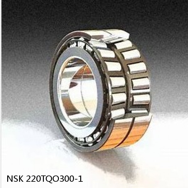 220TQO300-1 NSK Tapered Roller Bearings Double-row