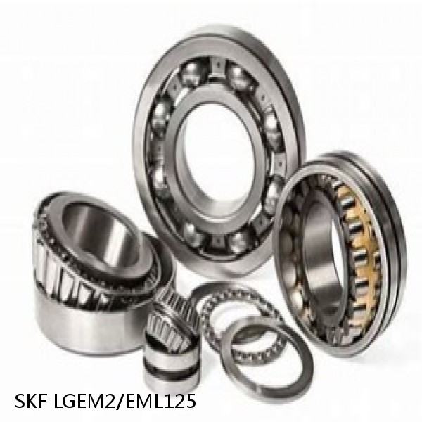 LGEM2/EML125 SKF Bearings Grease #1 small image