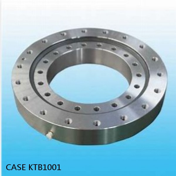 KTB1001 CASE Turntable bearings for CX460