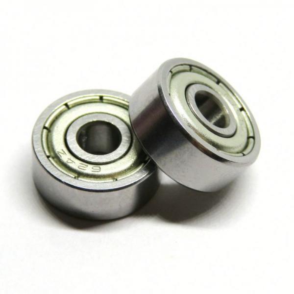 INA SL045020-D-PP CylindricalRollerBearings #1 image