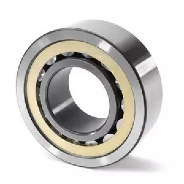 45 mm x 75 mm x 40 mm  INA SL185009 Cylindricalrollerbearings #2 image
