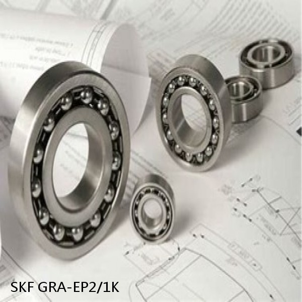GRA-EP2/1K SKF Bearings Grease #1 image
