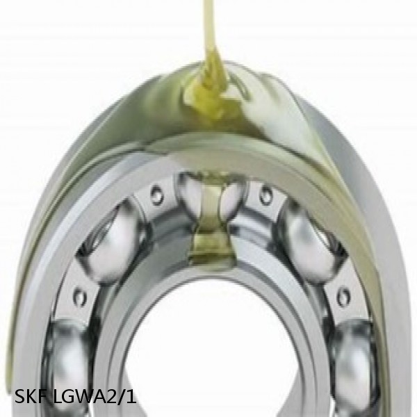 LGWA2/1 SKF Bearings Grease #1 image