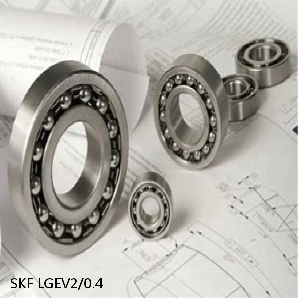 LGEV2/0.4 SKF Bearings Grease #1 image