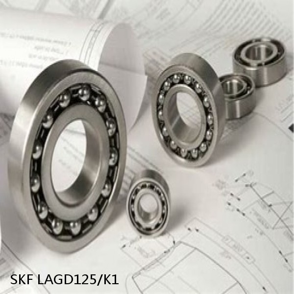 LAGD125/K1 SKF Bearings Grease #1 image