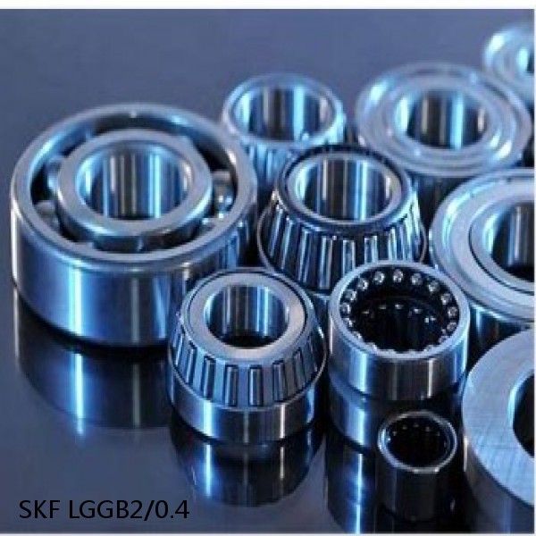 LGGB2/0.4 SKF Bearings Grease #1 image