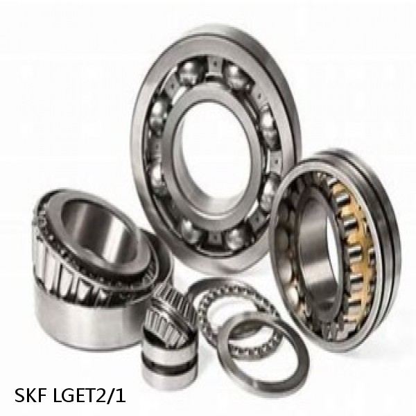 LGET2/1 SKF Bearings Grease #1 image