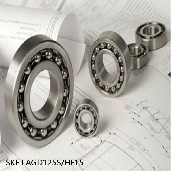 LAGD125S/HF15 SKF Bearings Grease #1 image