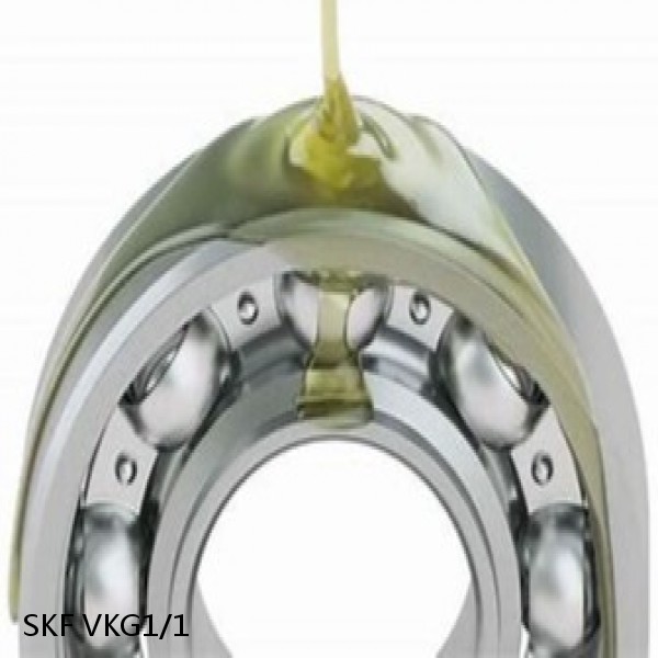 VKG1/1 SKF Bearings Grease #1 image