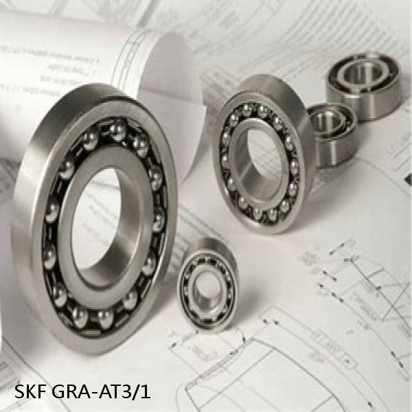 GRA-AT3/1 SKF Bearings Grease #1 image